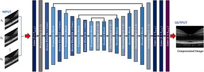 ADC-Net: An Open-Source Deep Learning Network for Automated Dispersion Compensation in Optical Coherence Tomography